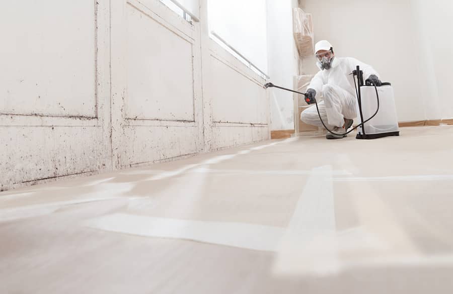 Residential mold removal Huntington Beach — mold growth on a home's interior wall