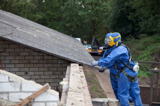 Asbestos Amp Lead Testing Asbestos Amp Lead Testing