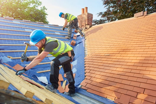 Mold Remediation Emergency Roof Tarp Service
