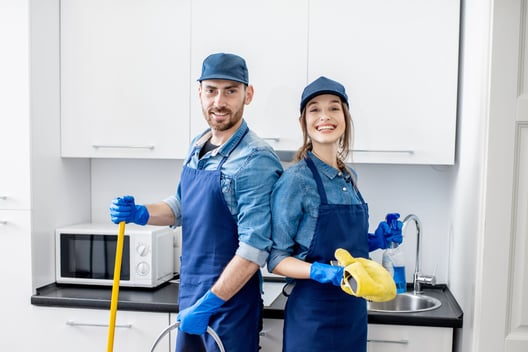 Mold Remediation Odor Removal Service